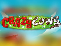 Der Spielautomat Crazy Cows.