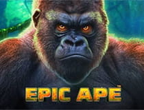 Der Epic Ape Slot.