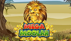 Der Jackpot Slot Mega Moolah.