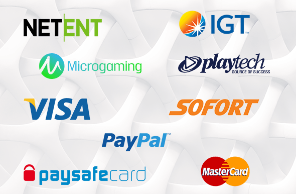 Die Grafik zeigt die Logos einiger wichtiger Online Casino Spielhersteller wie Microgaming und Playtech sowie die Logos einiger beliebter Zahlungsdienstleister in Online Casinos wie Visa und PayPal.
