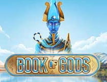 Ein Bild zeigt das Logo des Slots Book of Gods.