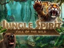 Ein Bild zeigt das Logo des Slots Jungle Spirit.