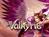 Der Slot Valkyrie.