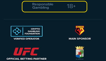 Footer der Webseite des Stake Casinos.