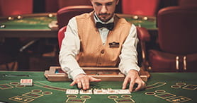 Die Vulkan Vegas Live Dealer.