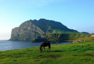 Küstenabschnitt der südkoreanischen Insel Jeju.