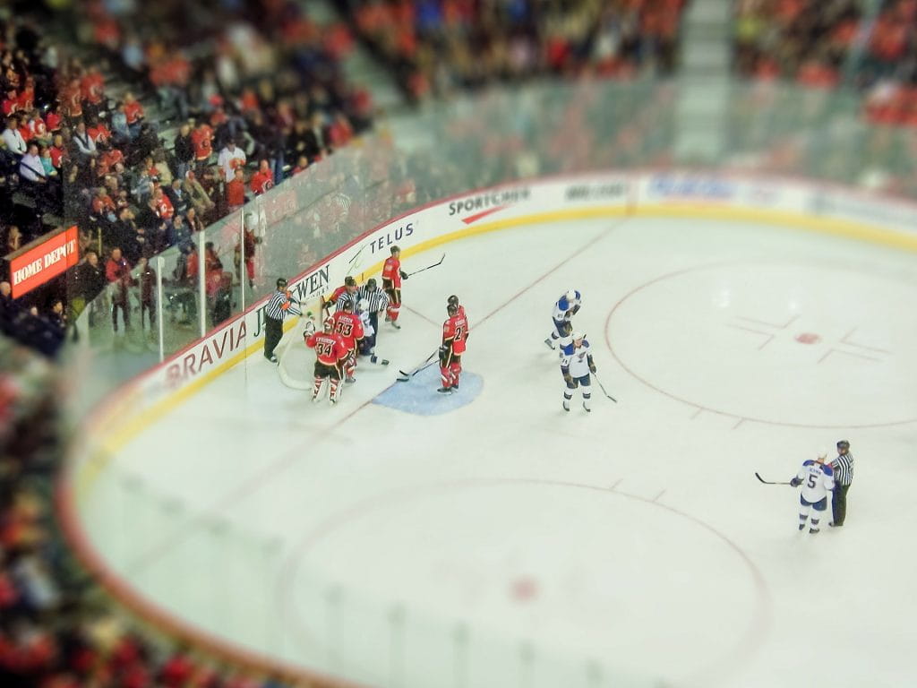 Verschiedene Eishockeyspieler in einem Eishockeystadion mit Zuschauern.