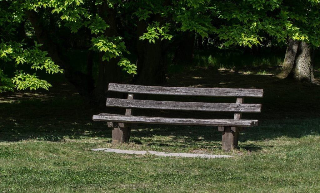 Eine Holzbank in einem Park.